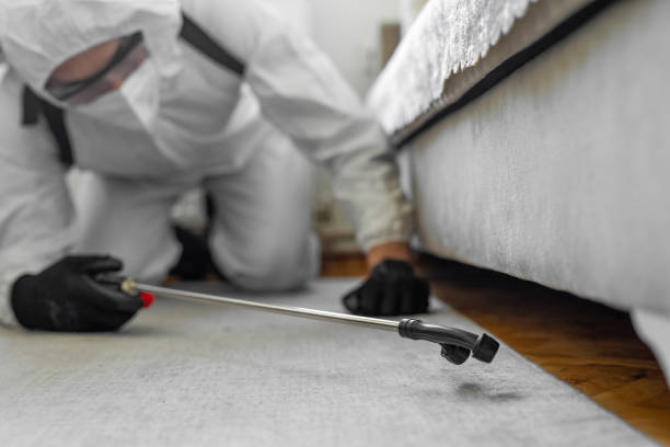 Professional Bed Bug Control technician working in Alderton, WA