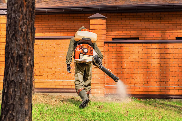 Trusted Cockroach Control service in Alderton, WA - Nex Pest Control